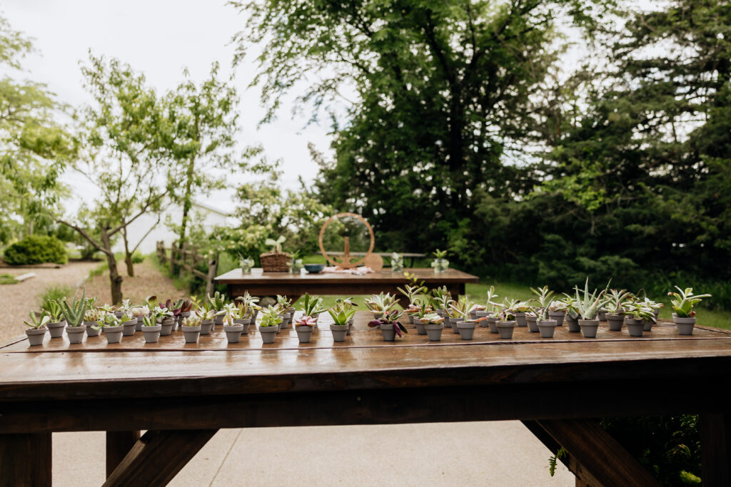 Succulent wedding favors on farm table at Country Pines wedding Lincoln Nebraska
